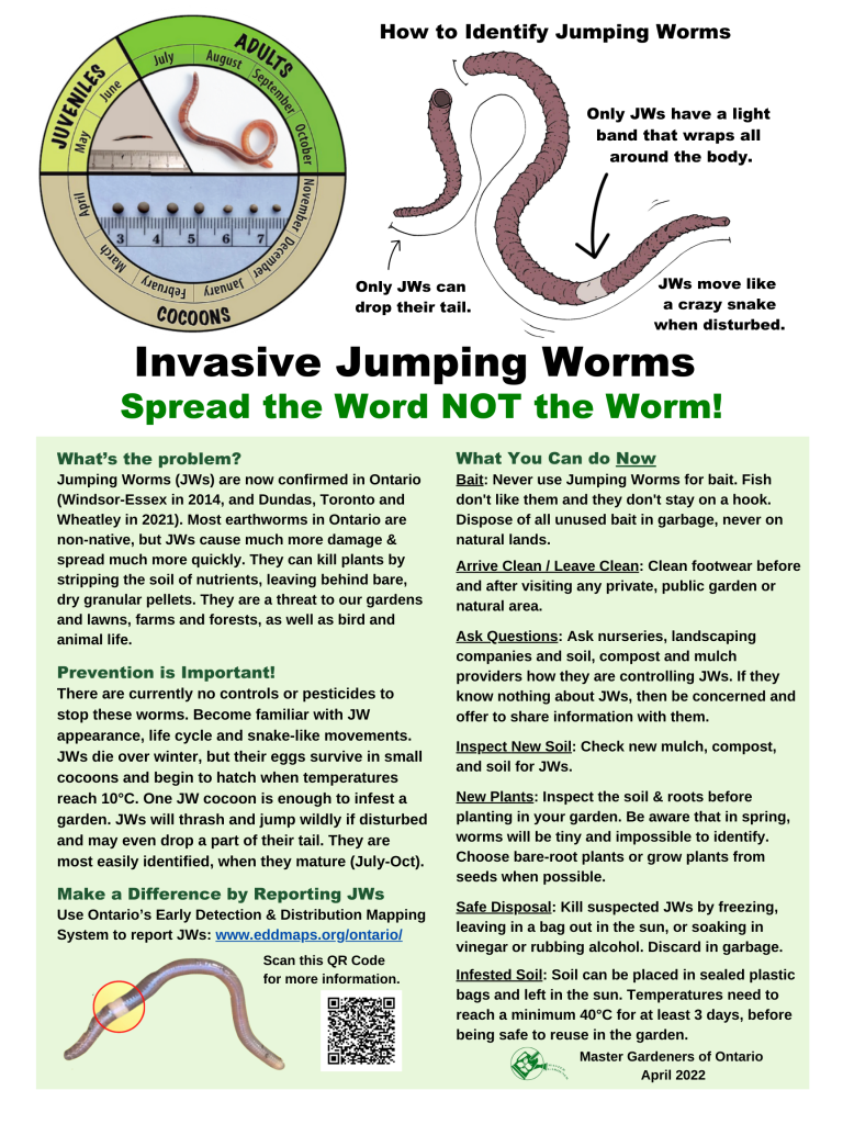 Info Sheet on Invasive Jumping Worms